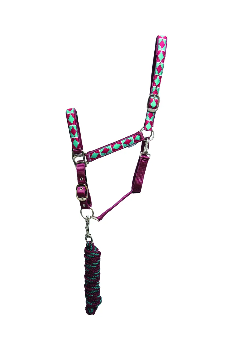 Hy Equestrian Woven Polo Head Collar And Lead Rope - Aqua/Fig